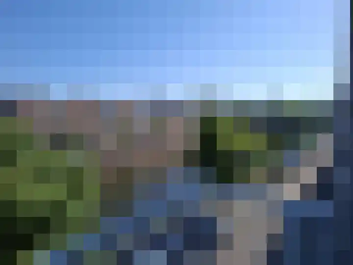 Molen de Beerkade 126 Rotterdam thumbnail 13