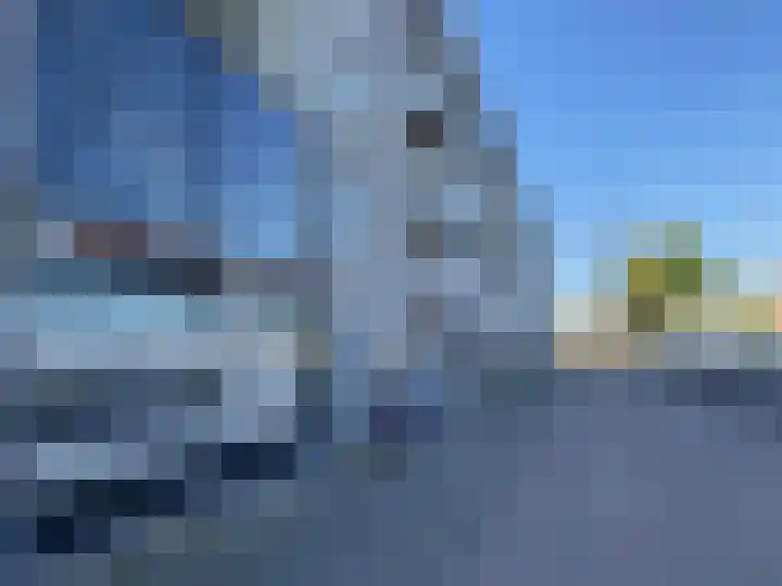 Molen de Beerkade 126 Rotterdam thumbnail 27