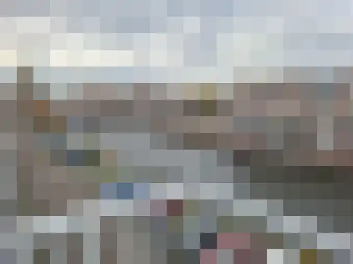 Molen de Beerkade 48 Rotterdam thumbnail 10