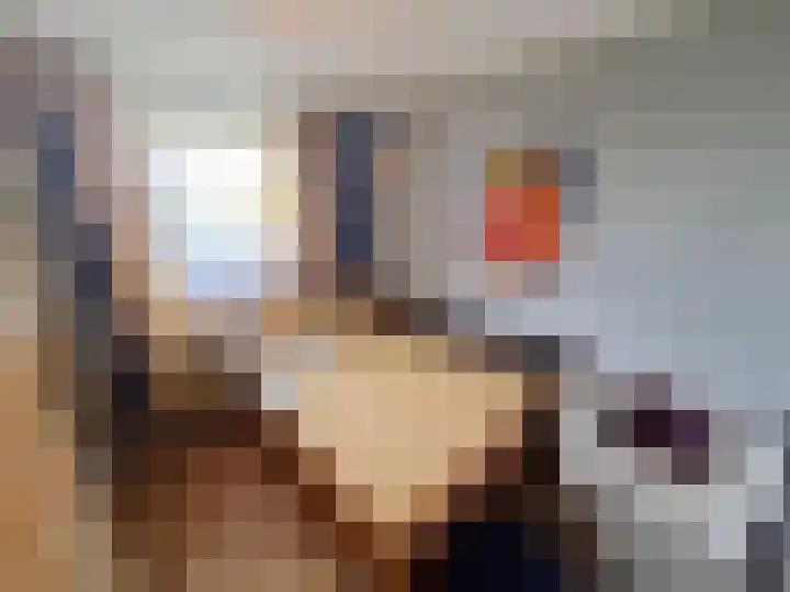 Molen de Beerkade 48 Rotterdam thumbnail 12
