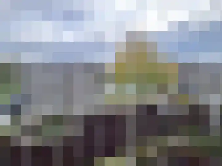 Molen de Beerkade 48 Rotterdam thumbnail 4