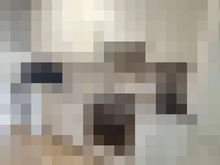 Molen de Beerkade 48 Rotterdam thumbnail 7