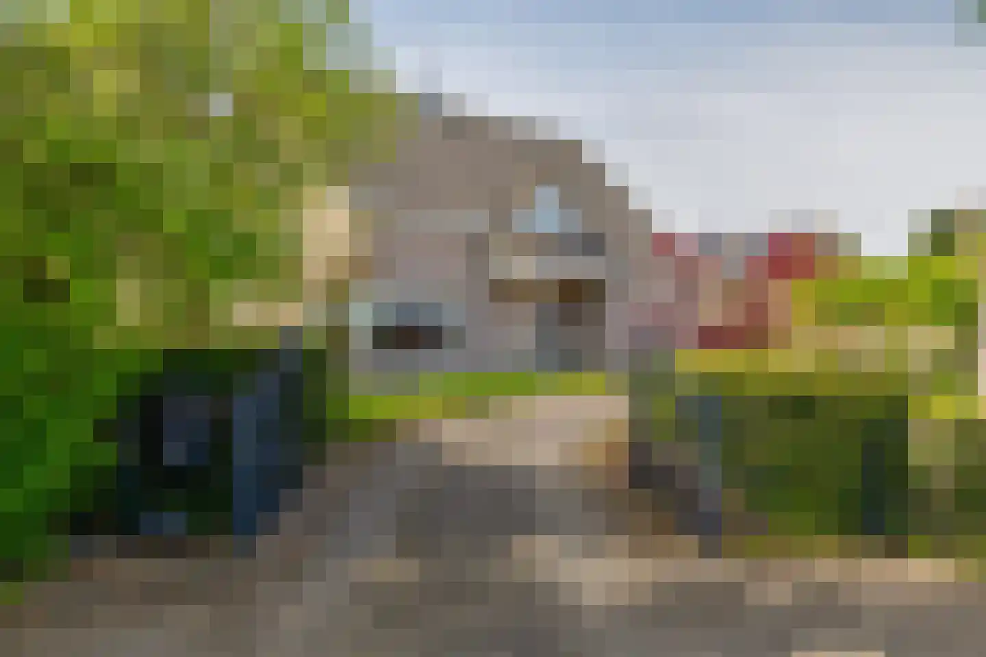Molen De Beerstraat 24 Prinsenbeek thumbnail 5