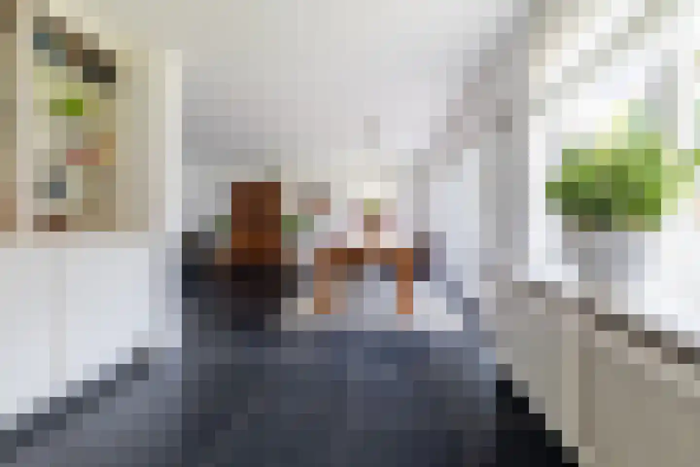Molen De Beerstraat 24 Prinsenbeek thumbnail 9
