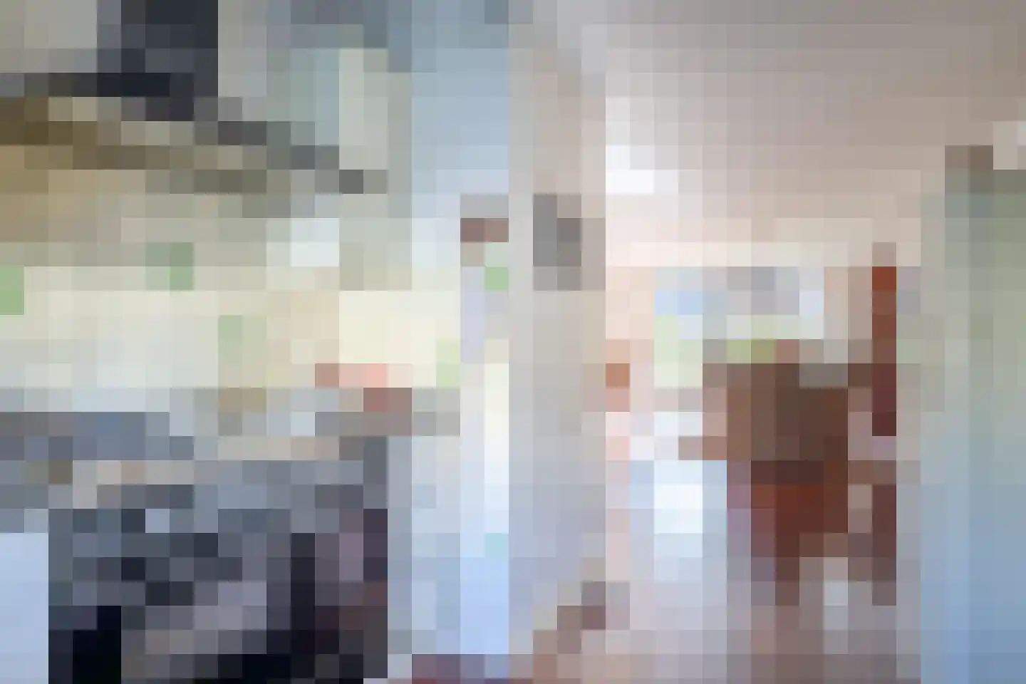 Molen 't Hert 17 Rhoon thumbnail 17