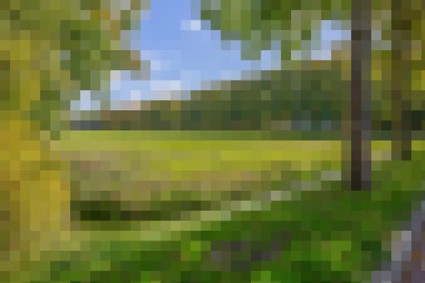 Molen 't Hert 17 Rhoon thumbnail 33