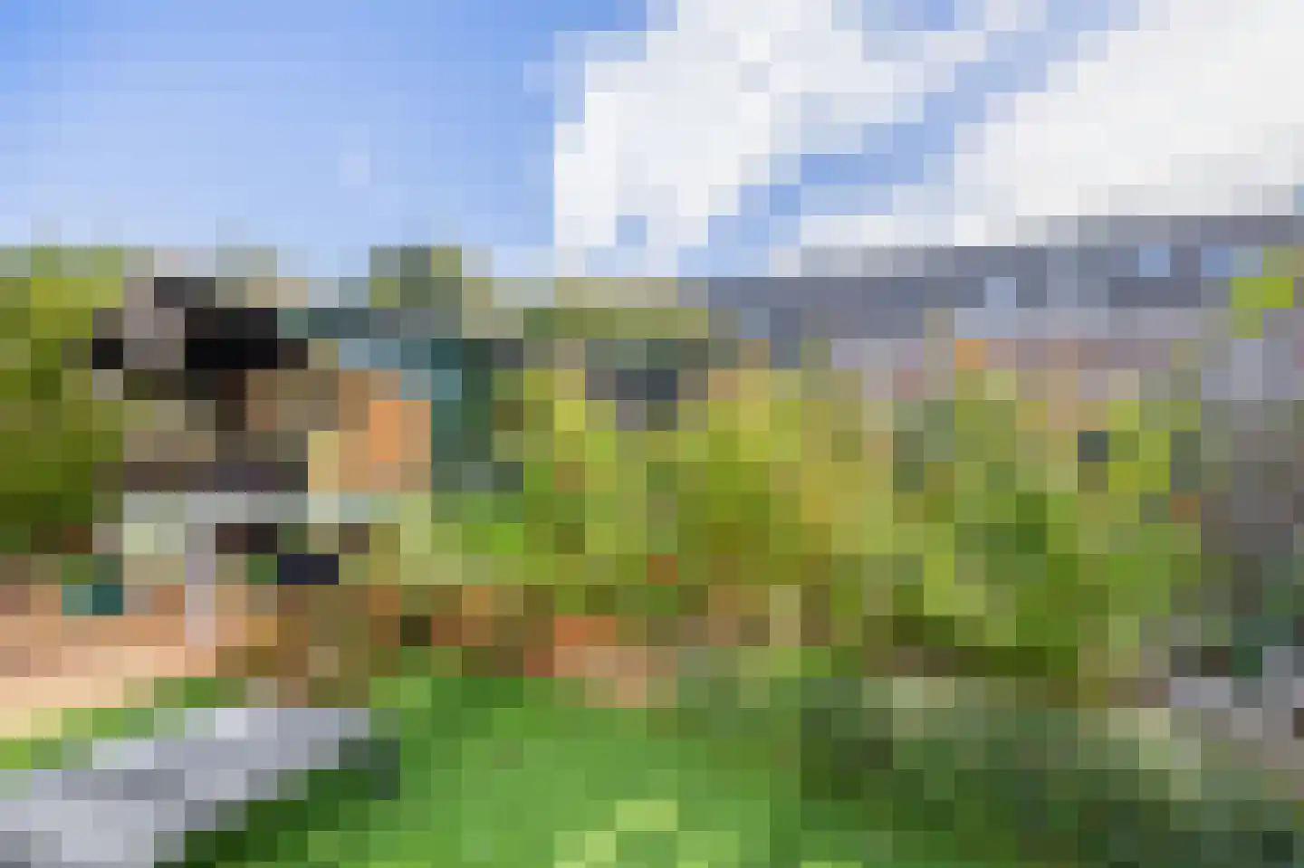 Molen 't Hert 17 Rhoon thumbnail 5