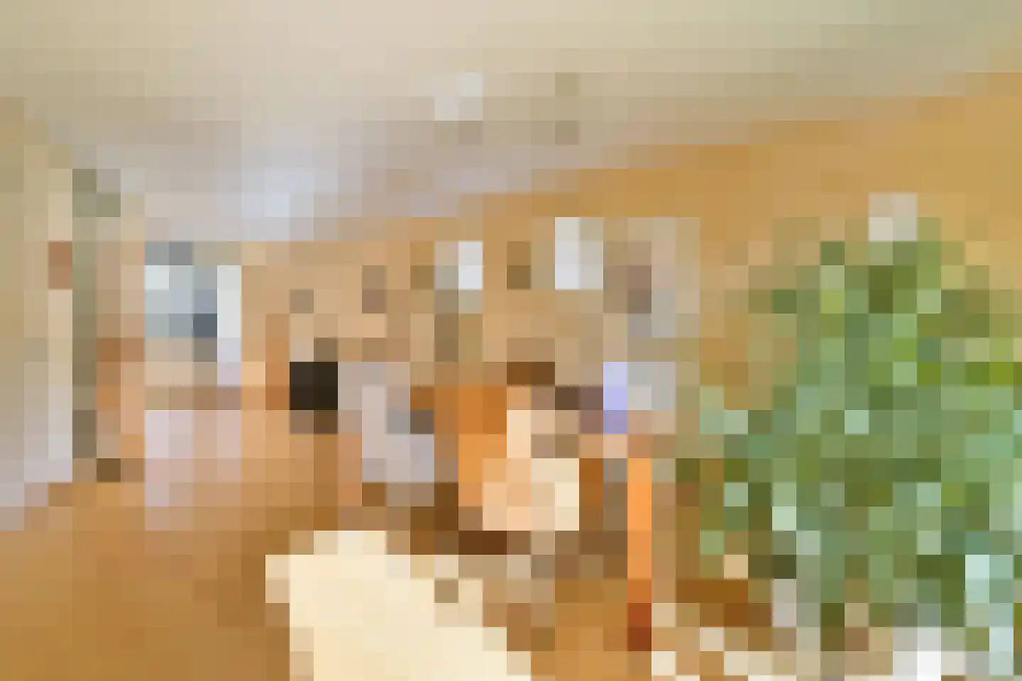 Molen 't Hert 23 Rhoon thumbnail 10