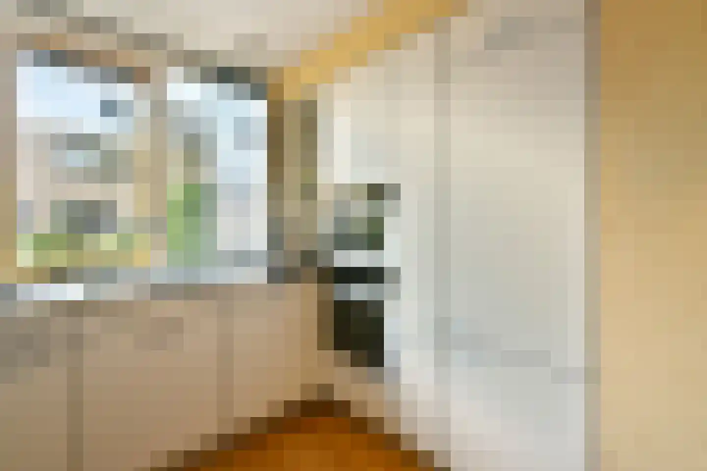 Molen 't Hert 23 Rhoon thumbnail 11
