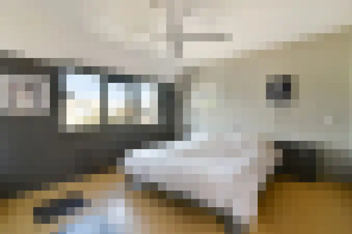 Molen 't Hert 23 Rhoon thumbnail 13