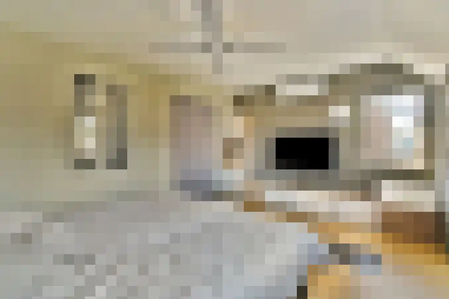 Molen 't Hert 23 Rhoon thumbnail 15