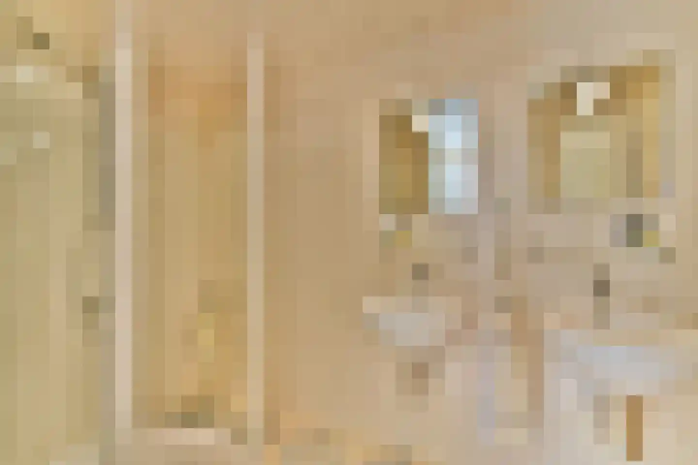 Molen 't Hert 23 Rhoon thumbnail 16