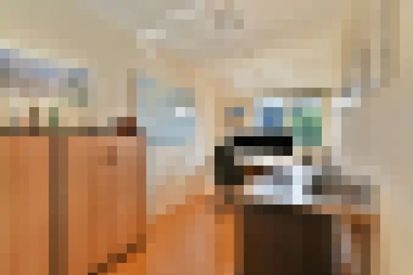 Molen 't Hert 23 Rhoon thumbnail 20