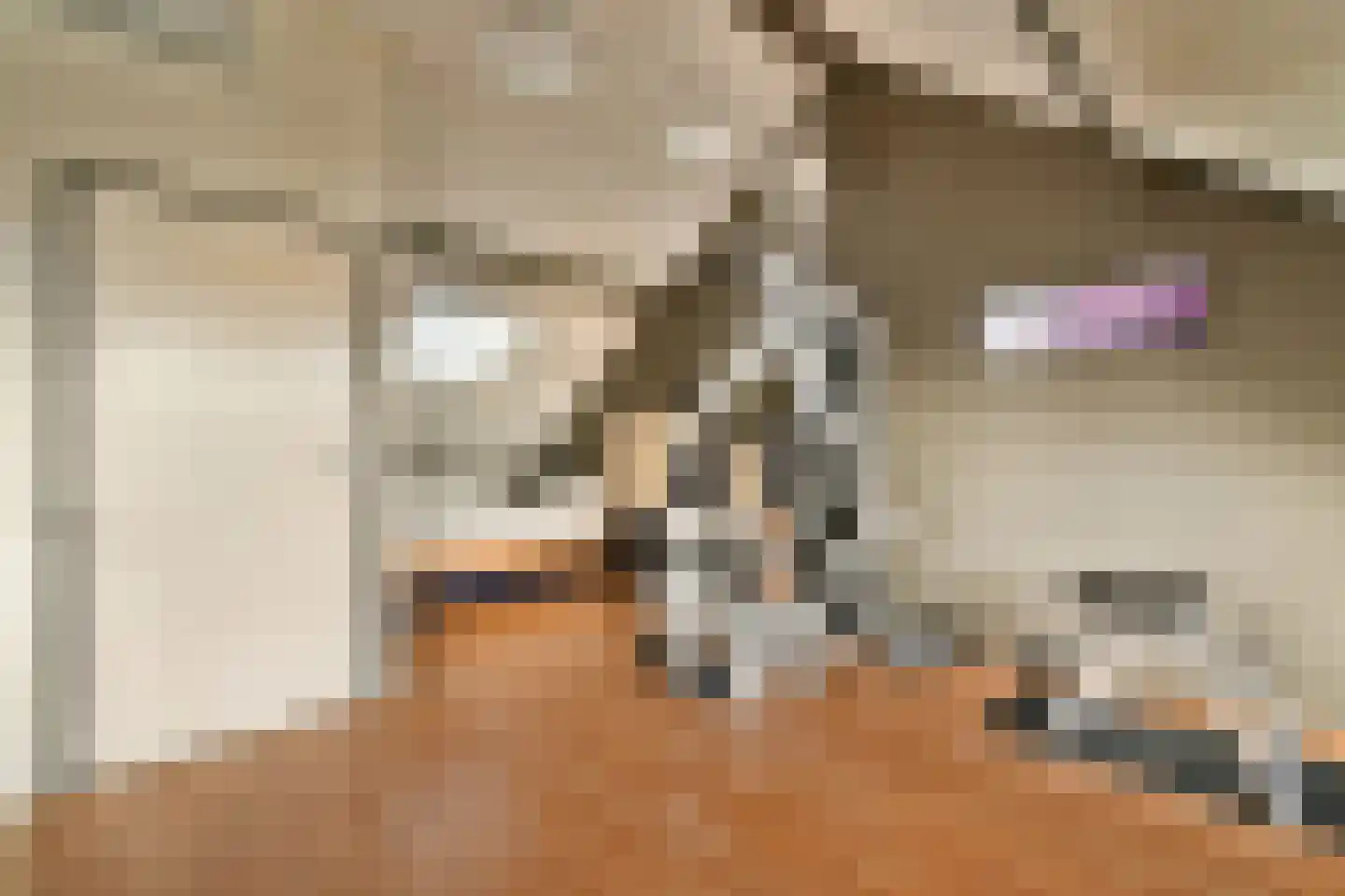 Molen 't Hert 23 Rhoon thumbnail 22