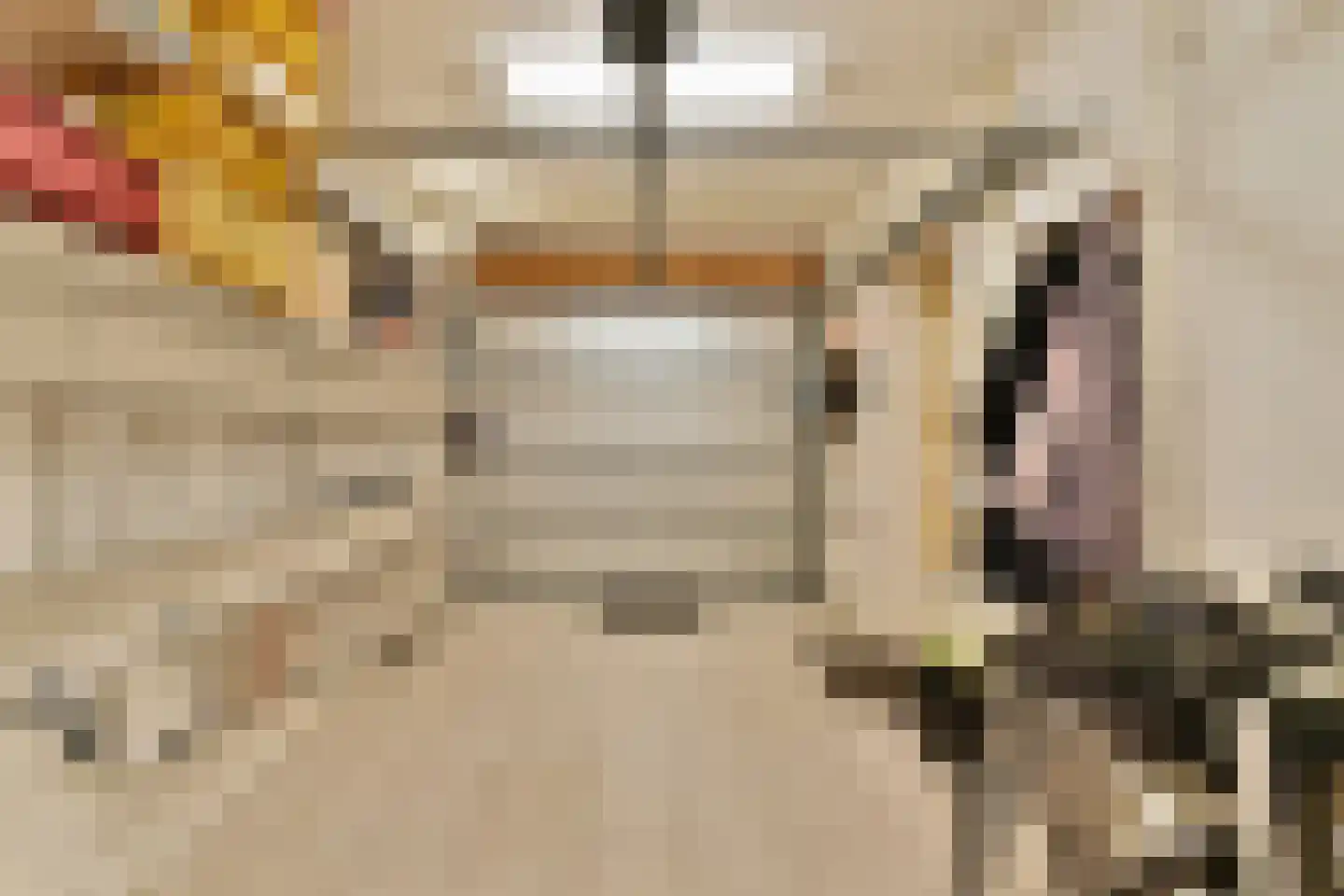 Molen 't Hert 23 Rhoon thumbnail 24