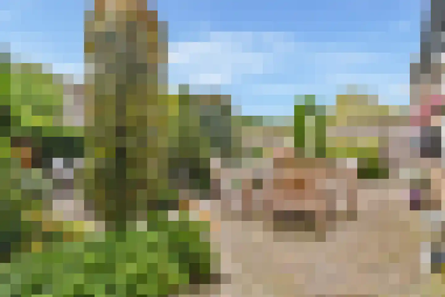 Molen 't Hert 23 Rhoon thumbnail 25