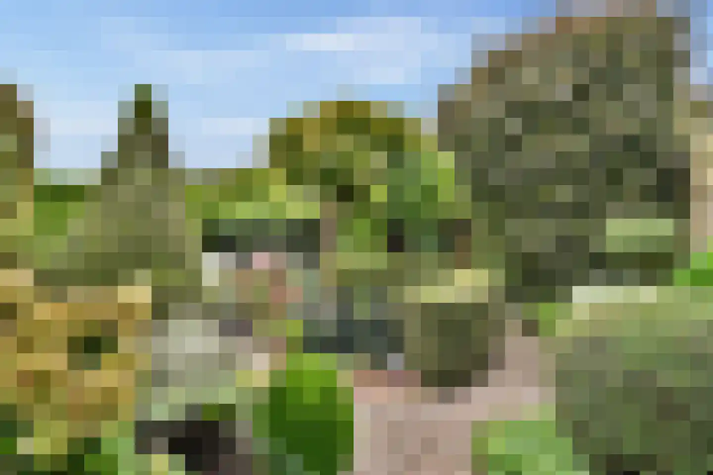 Molen 't Hert 23 Rhoon thumbnail 26