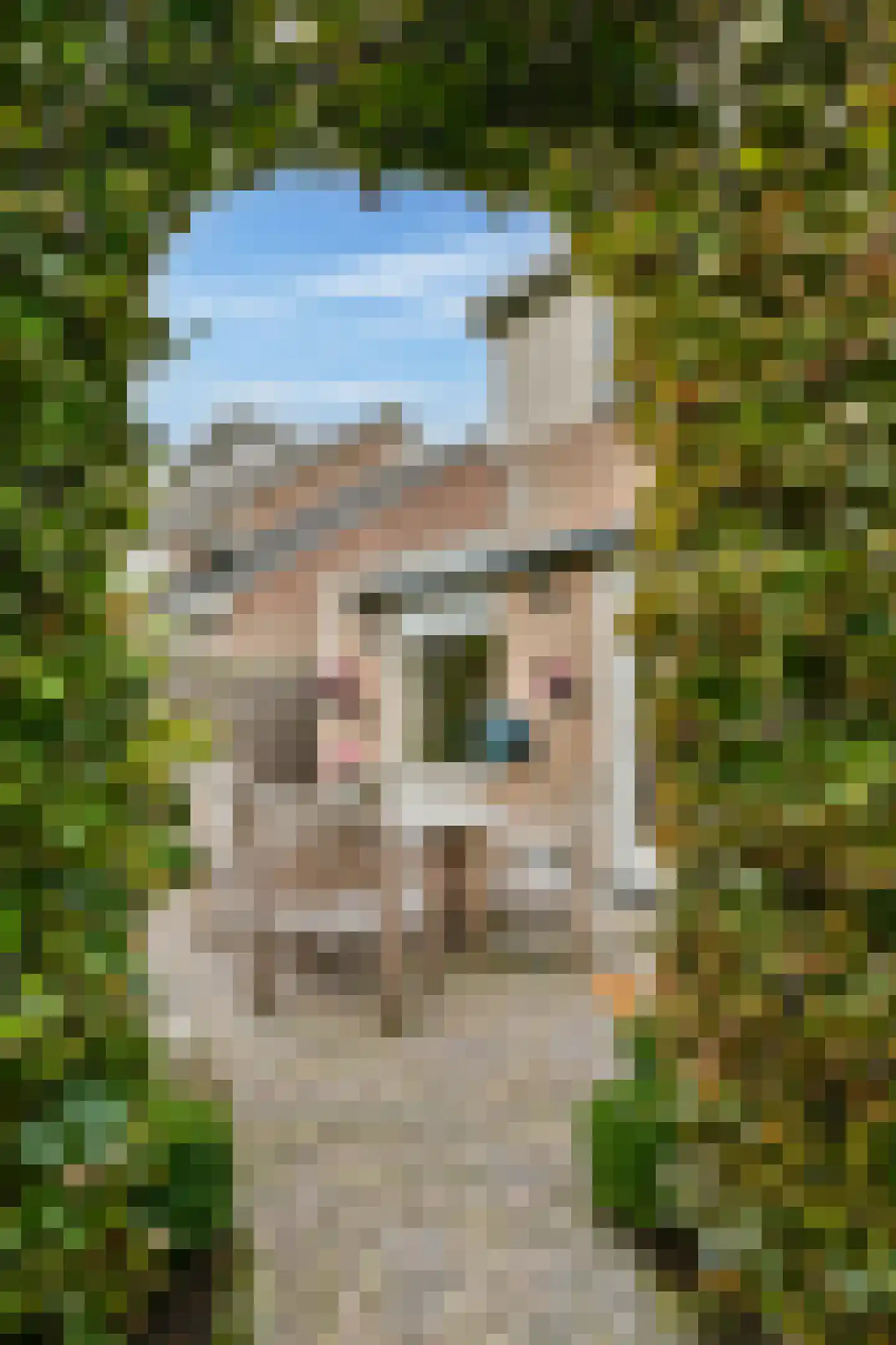 Molen 't Hert 23 Rhoon thumbnail 27