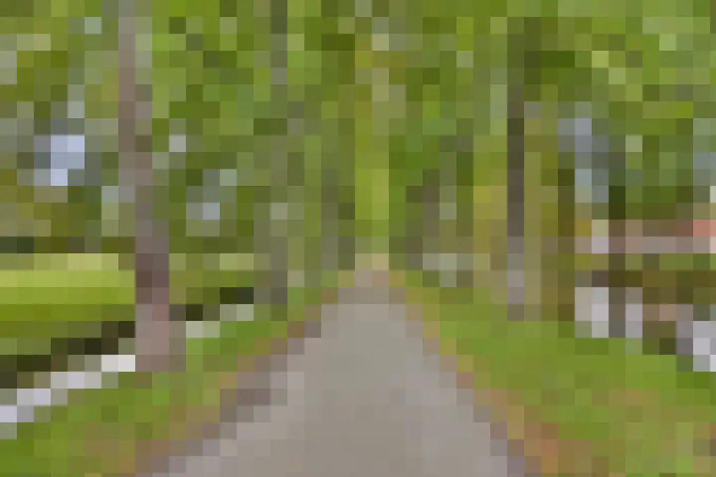 Molen 't Hert 23 Rhoon thumbnail 29