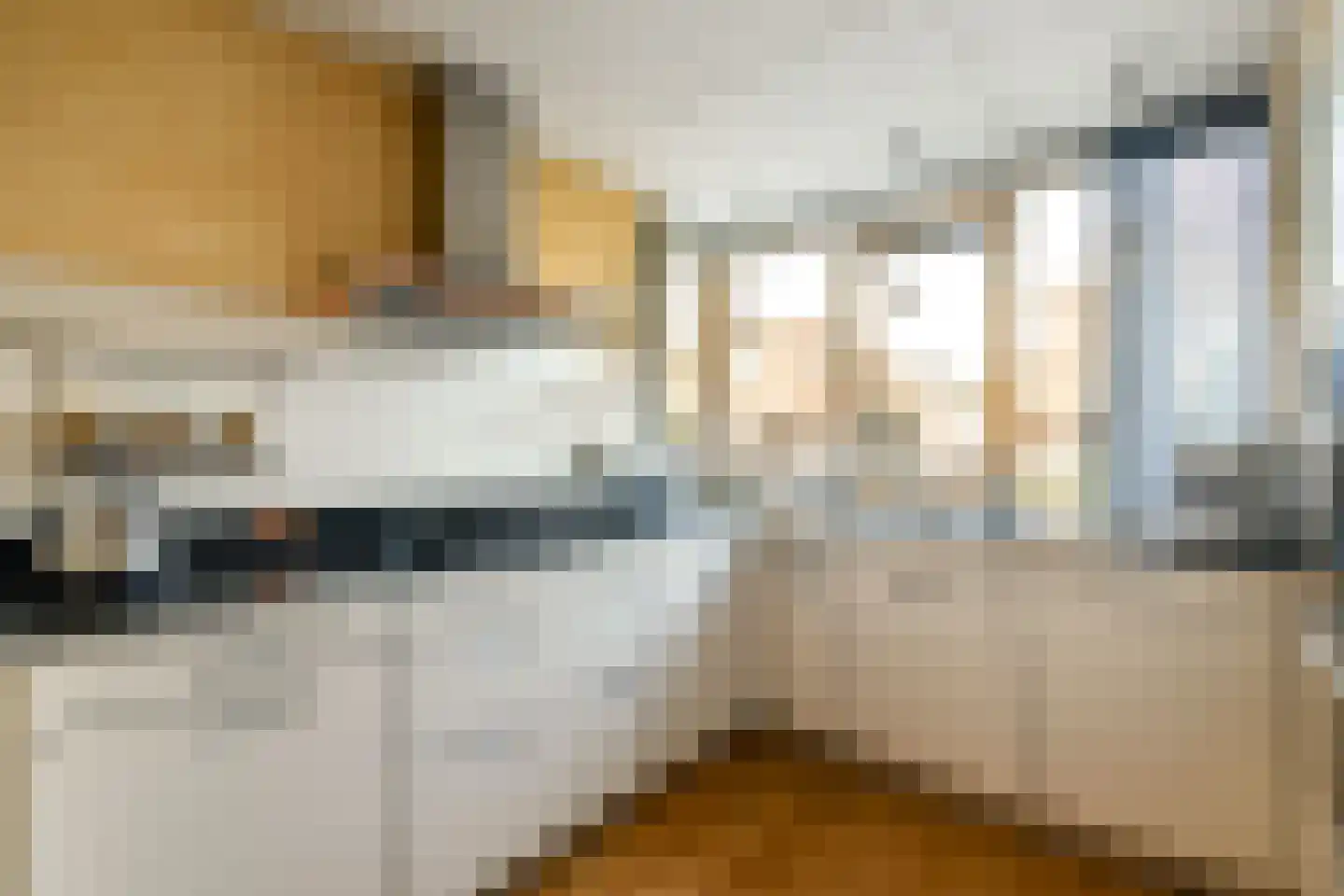 Molen 't Hert 23 Rhoon thumbnail 4