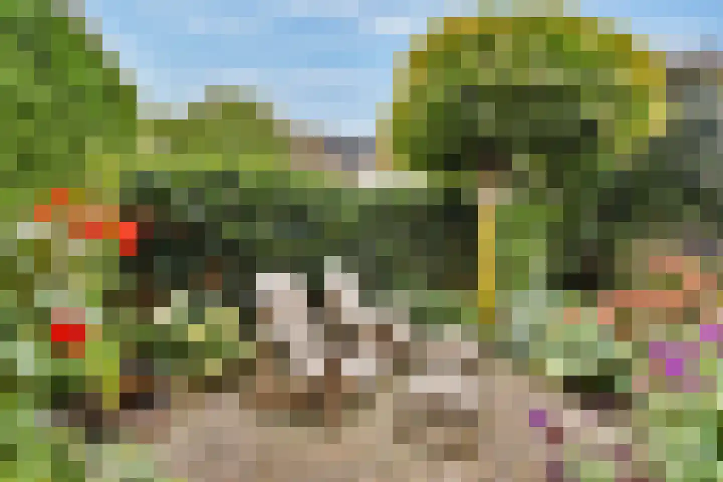Molen 't Hert 23 Rhoon thumbnail 5