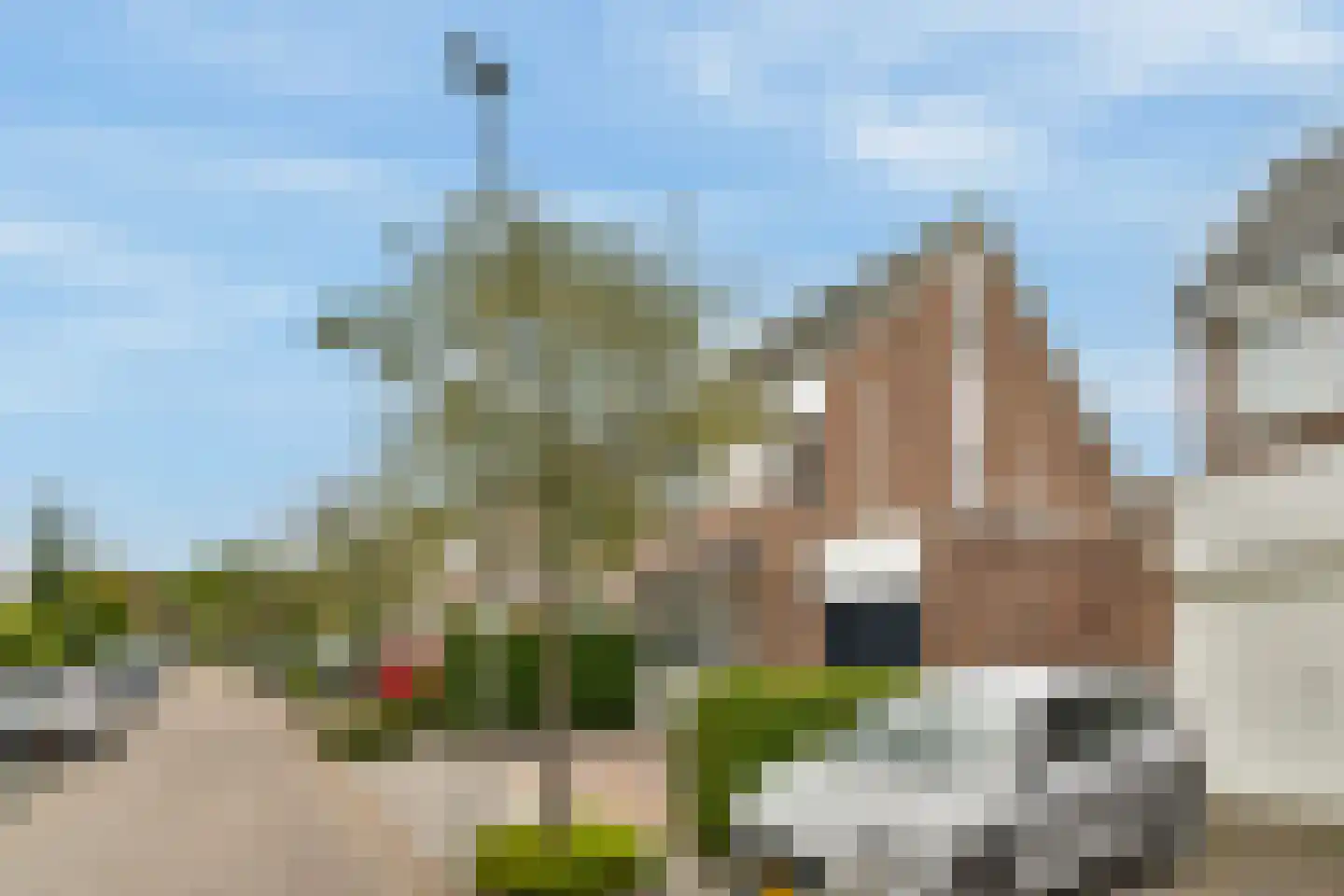 Molen 't Hert 23 Rhoon thumbnail 6