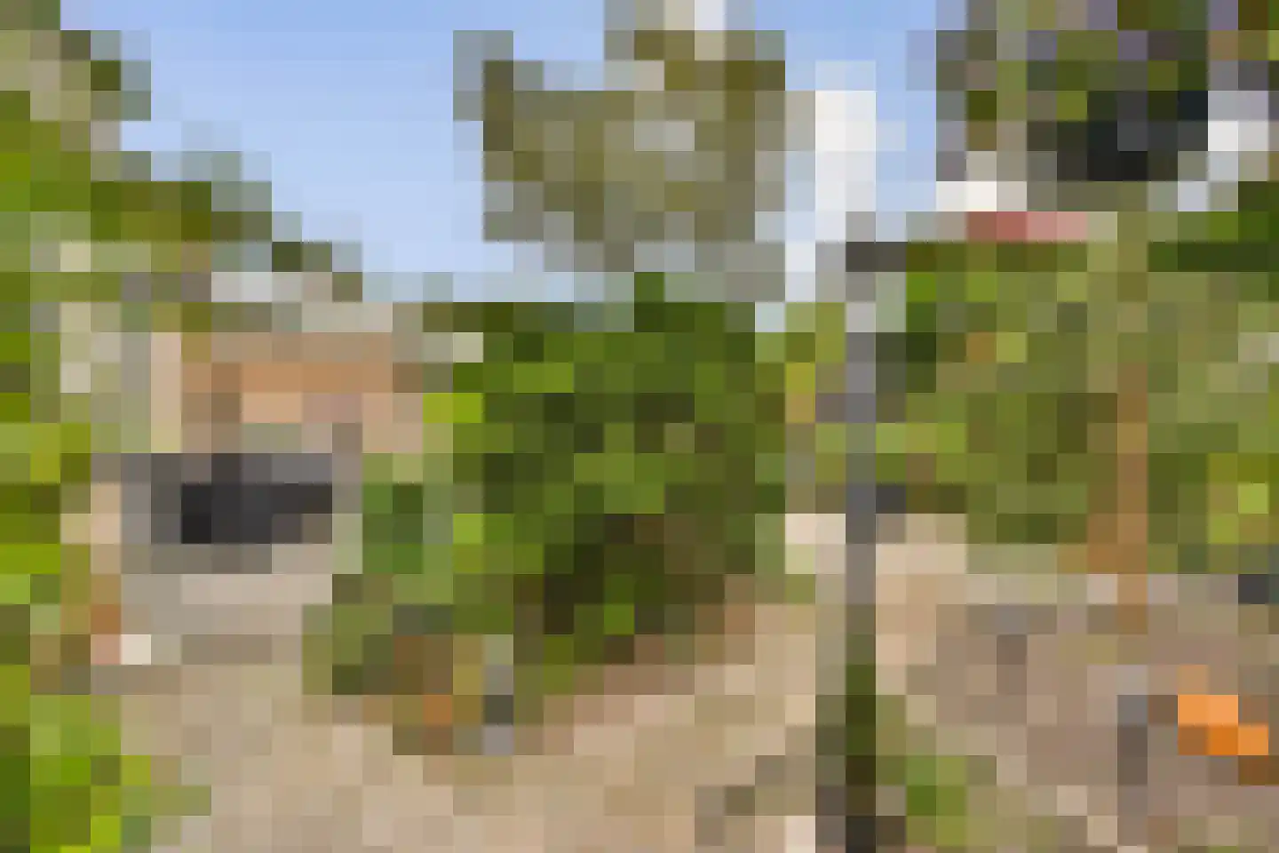 Molen 't Hert 24 Rhoon thumbnail 10