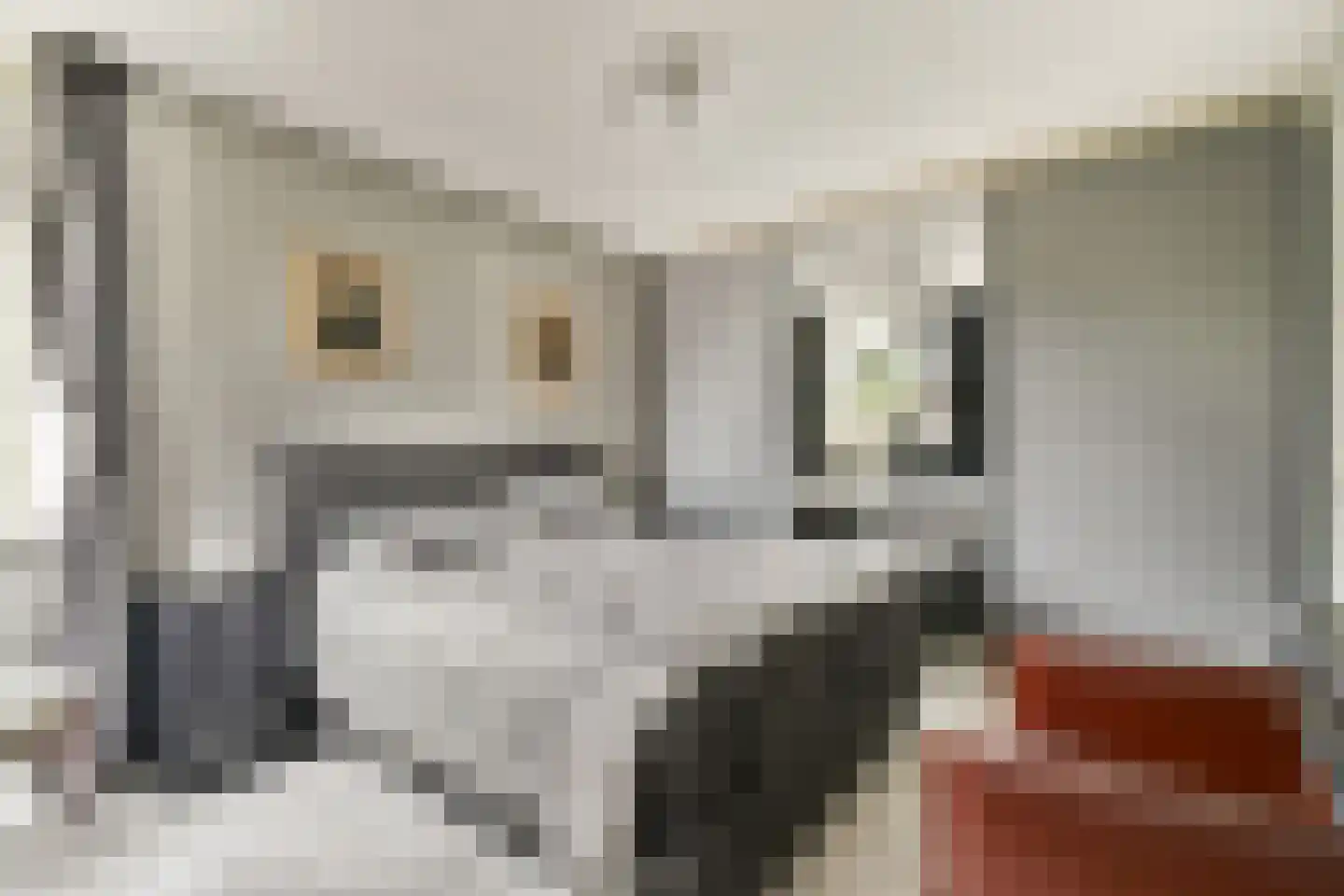 Molen 't Hert 24 Rhoon thumbnail 12