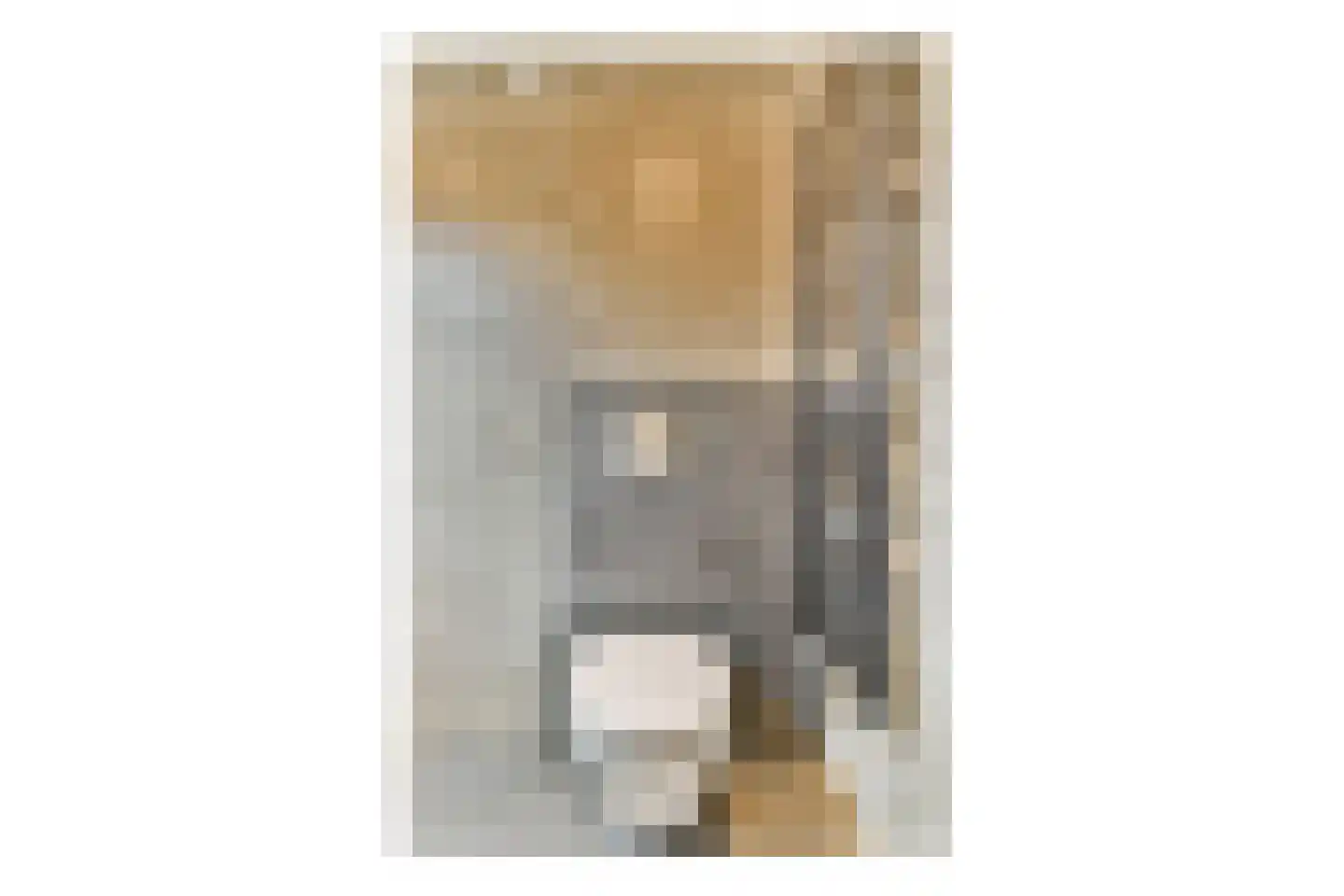 Molen 't Hert 24 Rhoon thumbnail 15