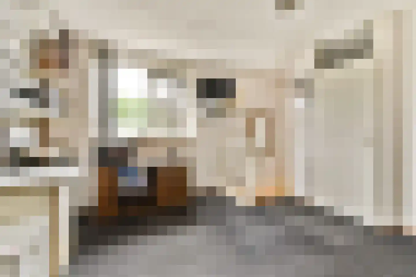Molen 't Hert 24 Rhoon thumbnail 16