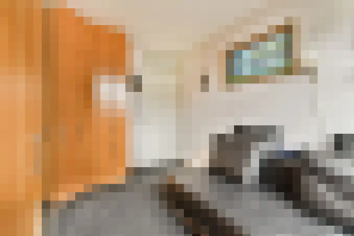 Molen 't Hert 24 Rhoon thumbnail 19