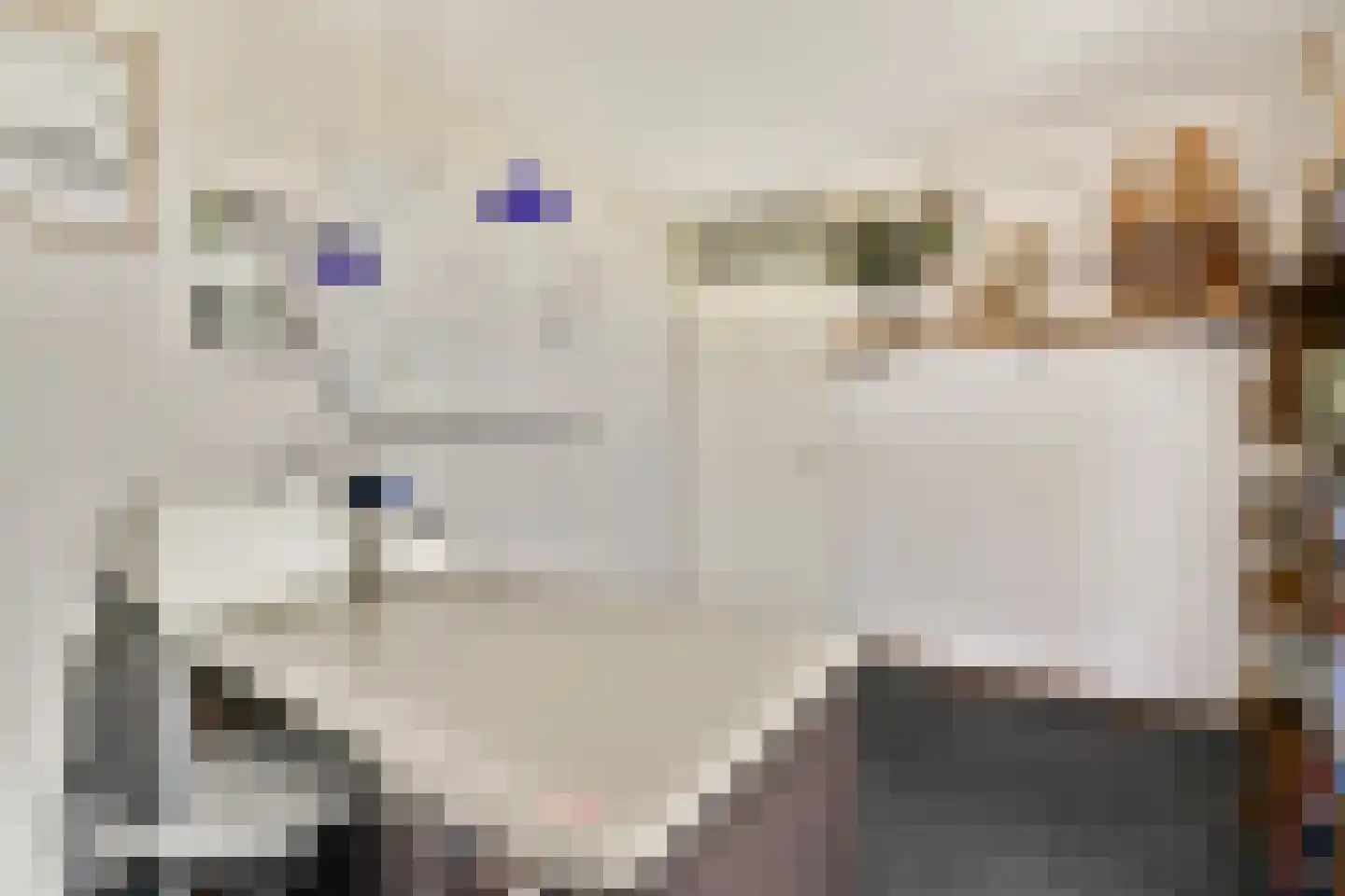 Molen 't Hert 24 Rhoon thumbnail 23