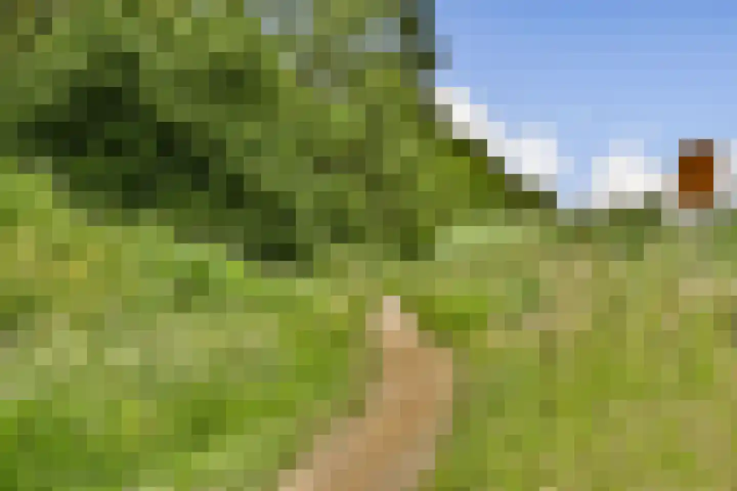 Molen 't Hert 24 Rhoon thumbnail 24