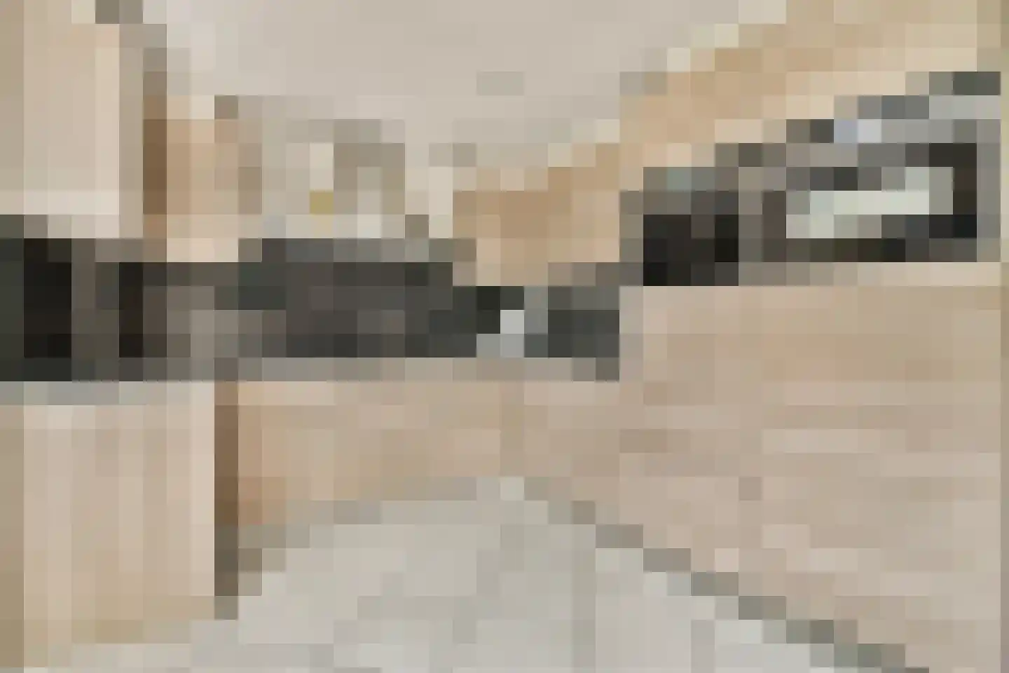 Molen 't Hert 24 Rhoon thumbnail 4