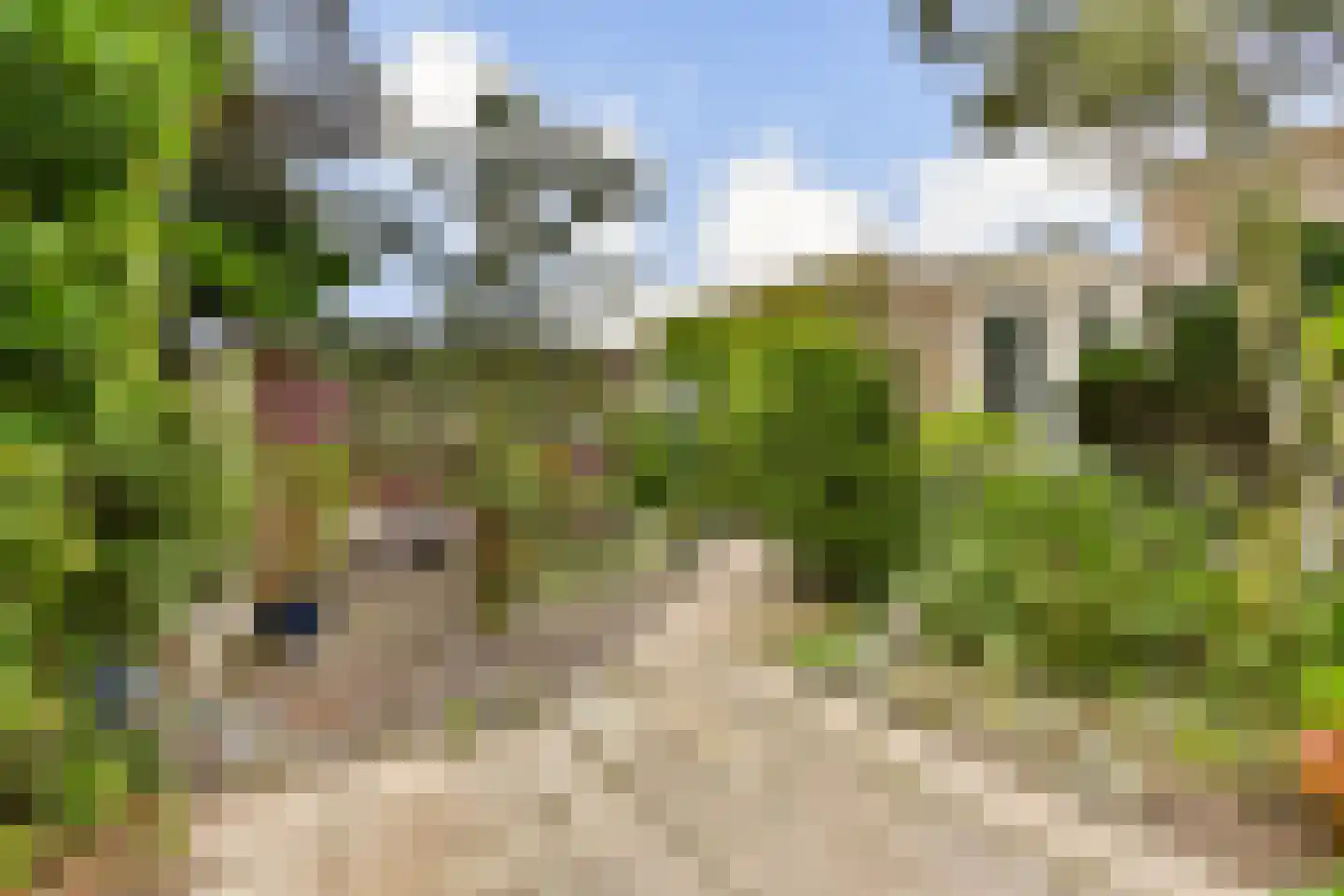 Molen 't Hert 24 Rhoon thumbnail 6