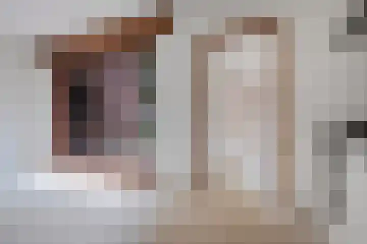 Molenaar 1 Groenlo thumbnail 12