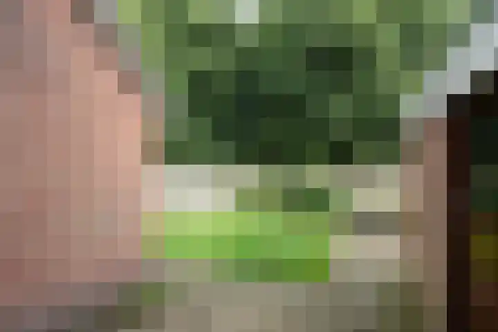 Molenaar 1 Groenlo thumbnail 36