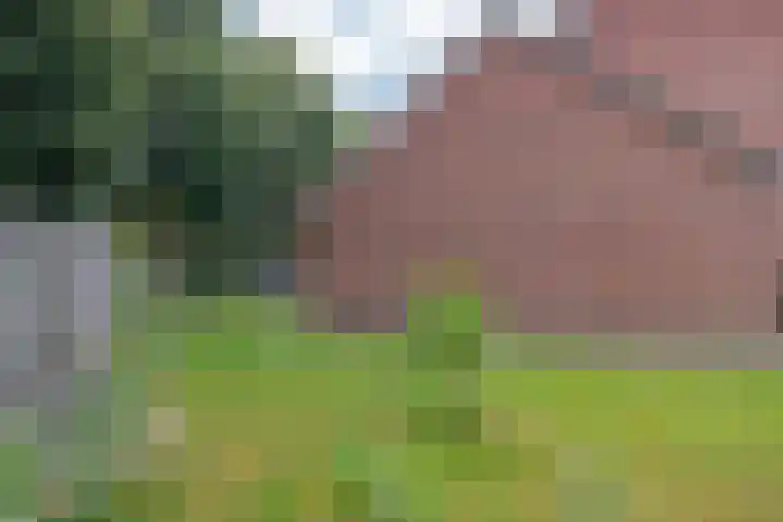 Molenaar 1 Groenlo thumbnail 38