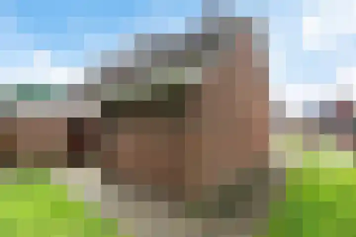 Molenaar 1 Groenlo thumbnail 39
