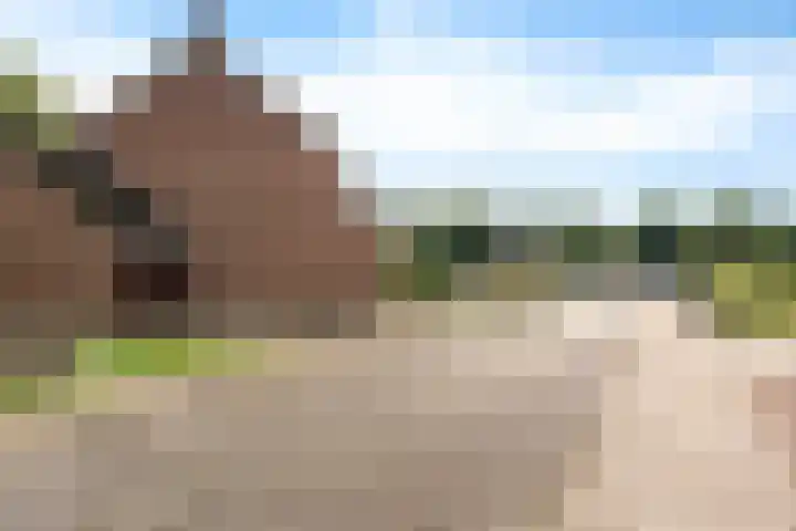 Molenaar 1 Groenlo thumbnail 42