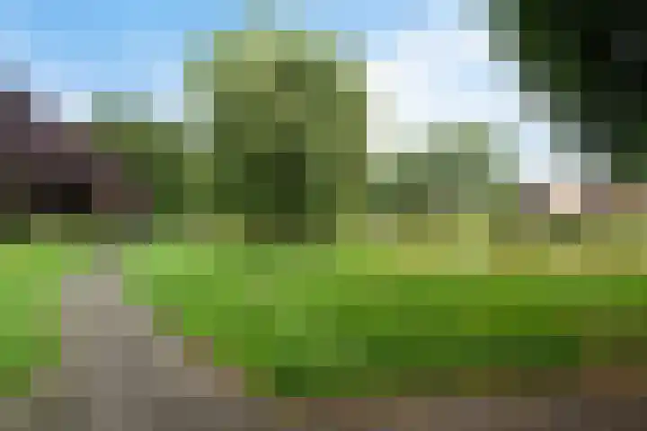 Molenaar 1 Groenlo thumbnail 44