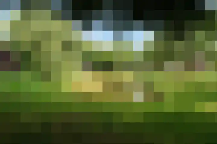 Molenaar 1 Groenlo thumbnail 45