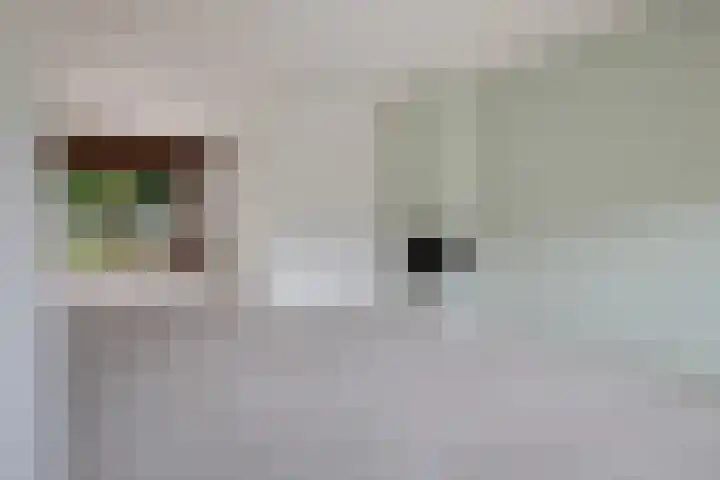Molenaar 1 Groenlo thumbnail 5