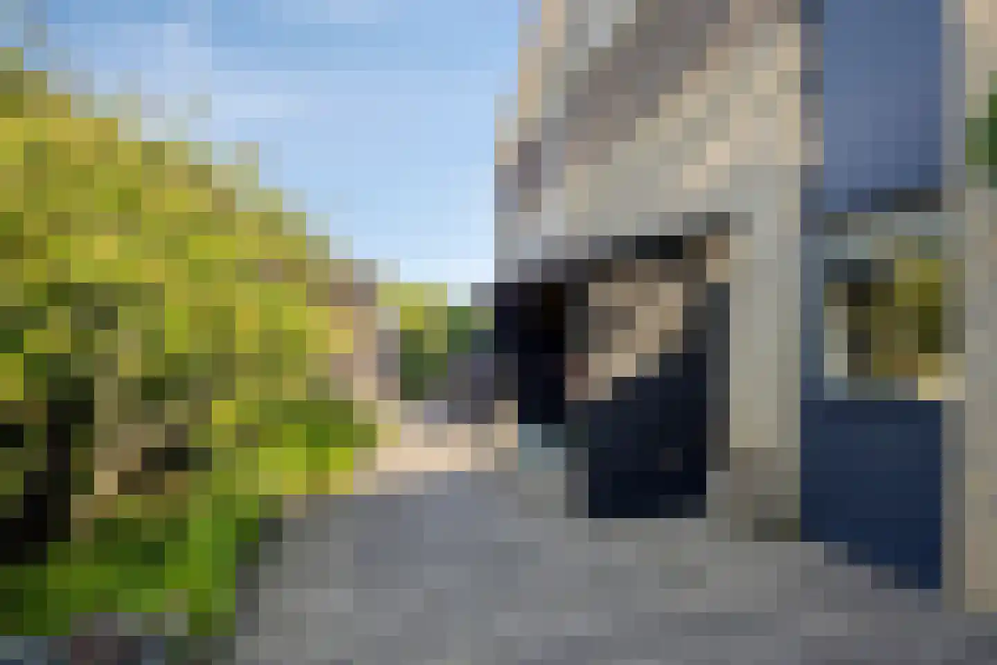 Molenaar 1 Poortugaal thumbnail 33