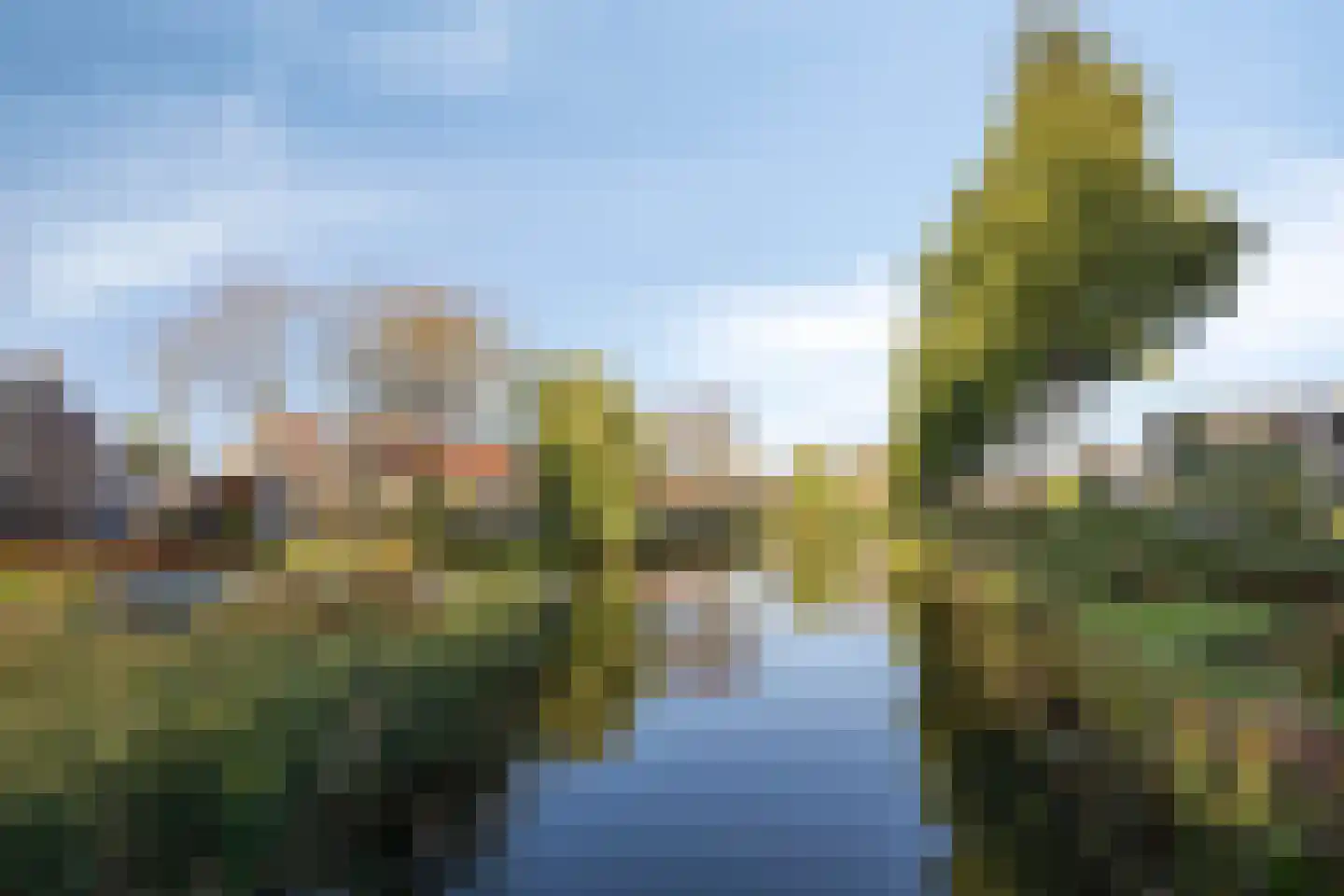 Molenaar 1 Poortugaal thumbnail 39