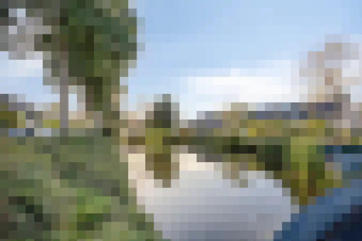 Molenaar 1 Poortugaal thumbnail 40