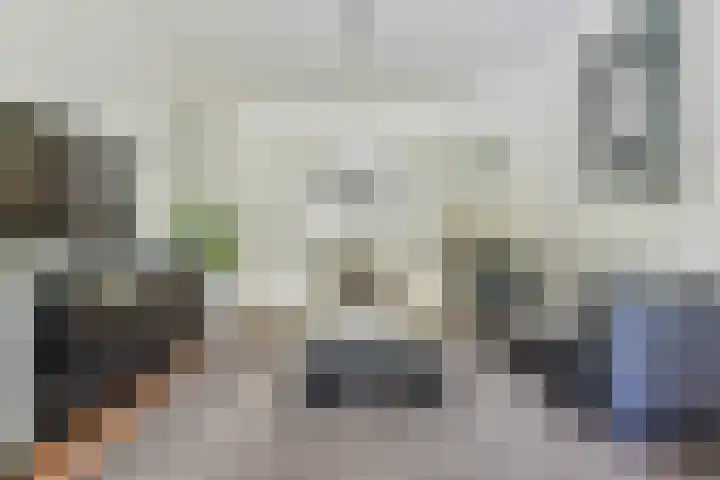 Molenaar 10 Laren thumbnail 10