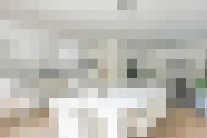 Molenaar 10 Laren thumbnail 11