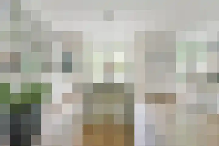 Molenaar 10 Laren thumbnail 12