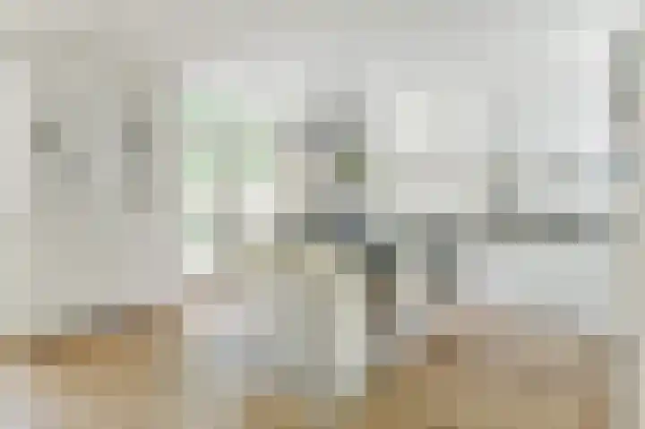 Molenaar 10 Laren thumbnail 16
